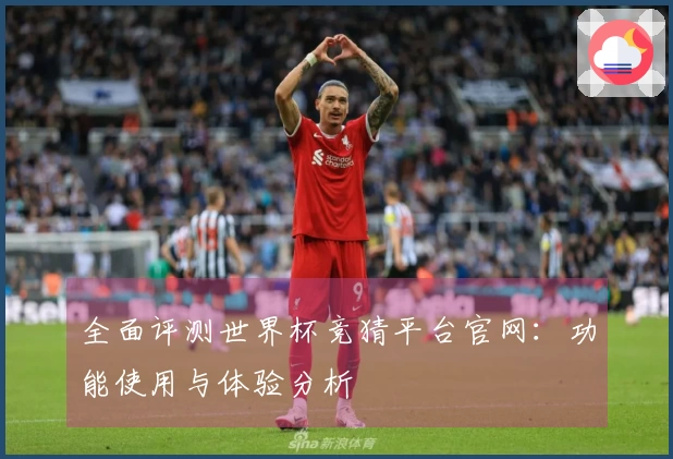 全面评测世界杯竞猜平台官网：功能使用与体验分析