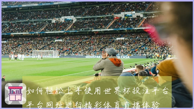 如何轻松上手使用世界杯投注平台平台网址进行精彩体育直播体验