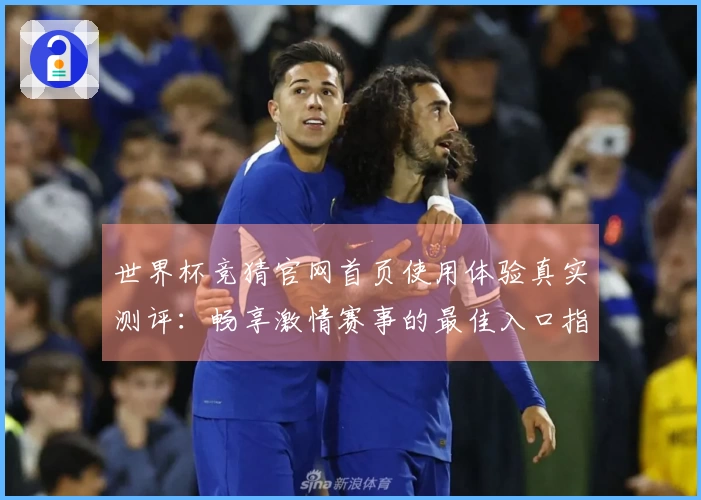 世界杯竞猜官网首页使用体验真实测评：畅享激情赛事的最佳入口指南