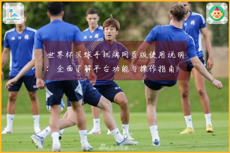世界杯买球手机端网页版使用说明：全面了解平台功能与操作指南