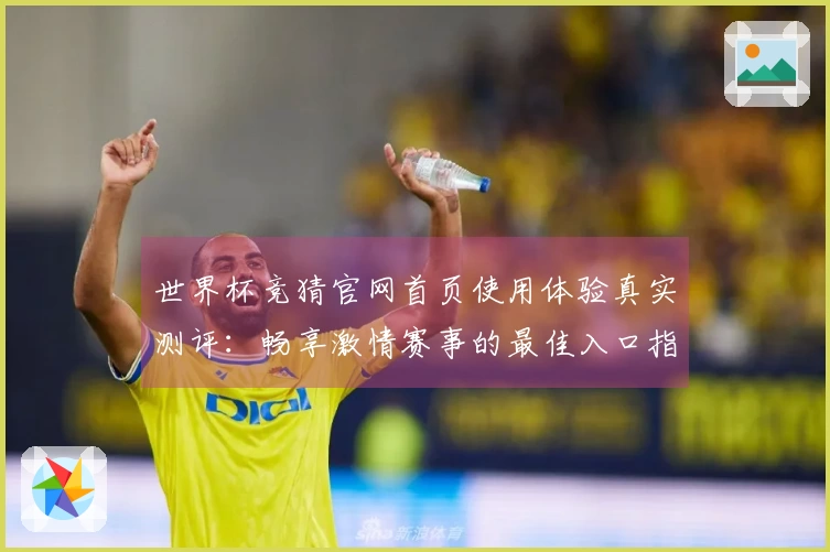 世界杯竞猜官网首页使用体验真实测评：畅享激情赛事的最佳入口指南